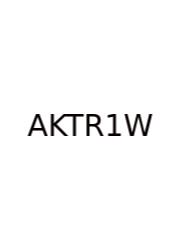 Answer Key To Realidades 1 Workbook