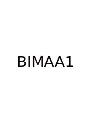 Big Ideas Math Answers Algebra 1