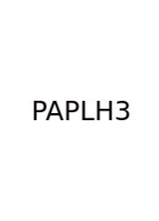 Parallel And Perpendicular Lines Homework 3