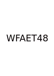 What Fractions Are Equivalent To 4 8