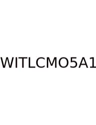 What Is The Least Common Multiple Of 5 And 11